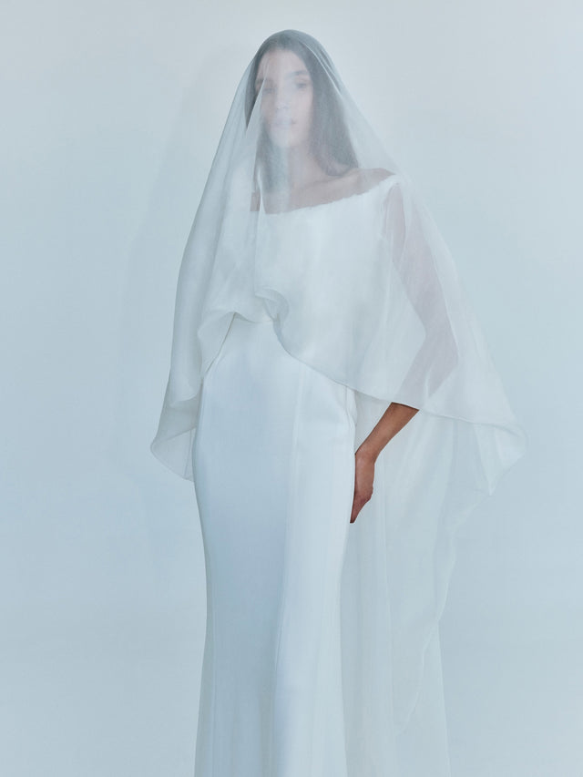 Vapour Overlay Silk Gown