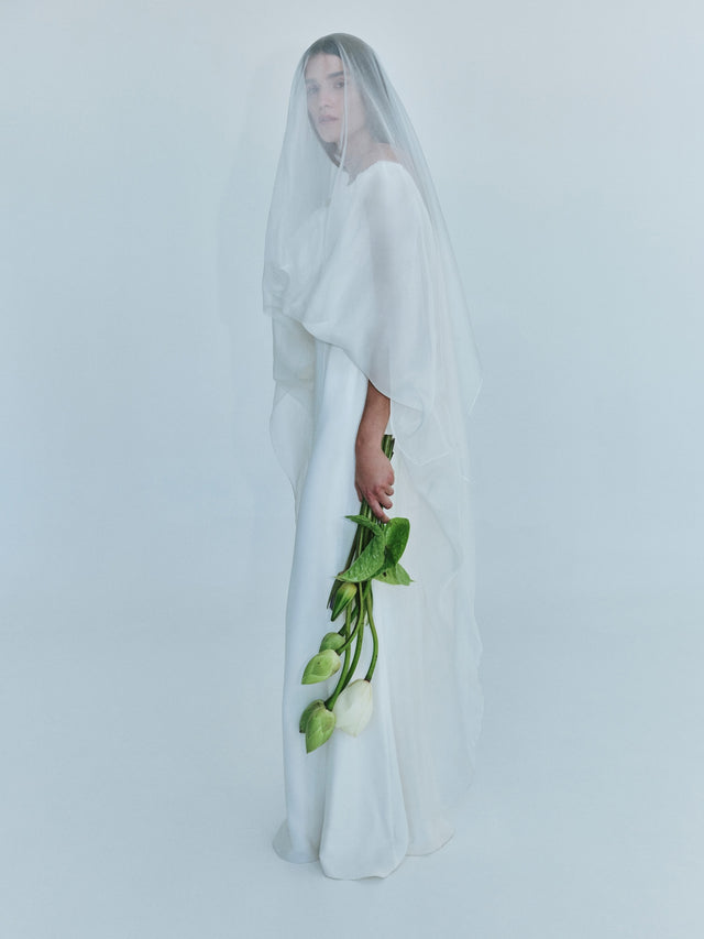 Vapour Overlay Silk Gown