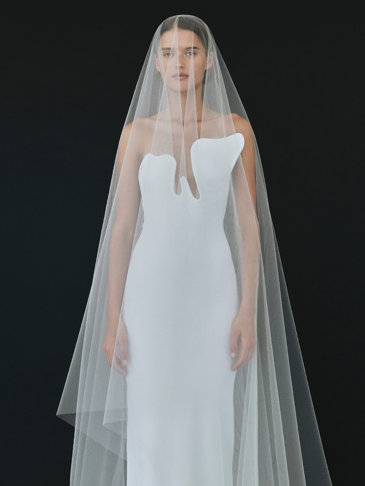 Salacia Wire Strapless Dress
