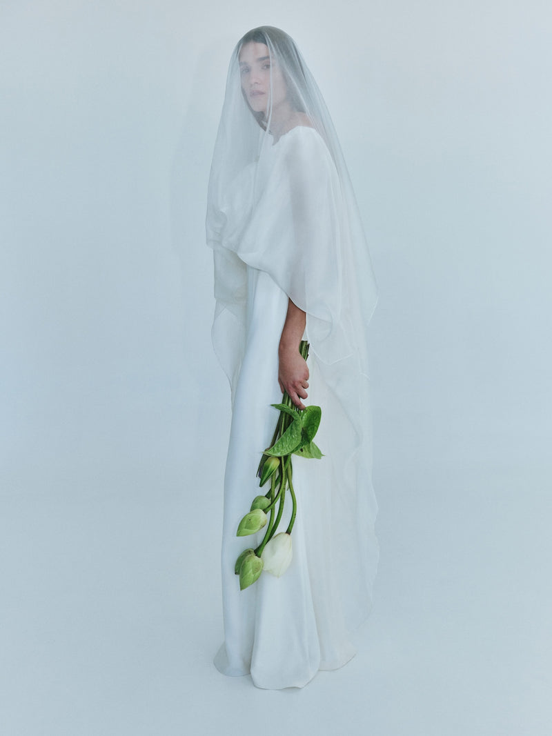 Vapour Overlay Silk Gown - Image 1