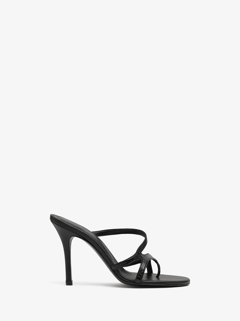 Calathea Heel - Image 1