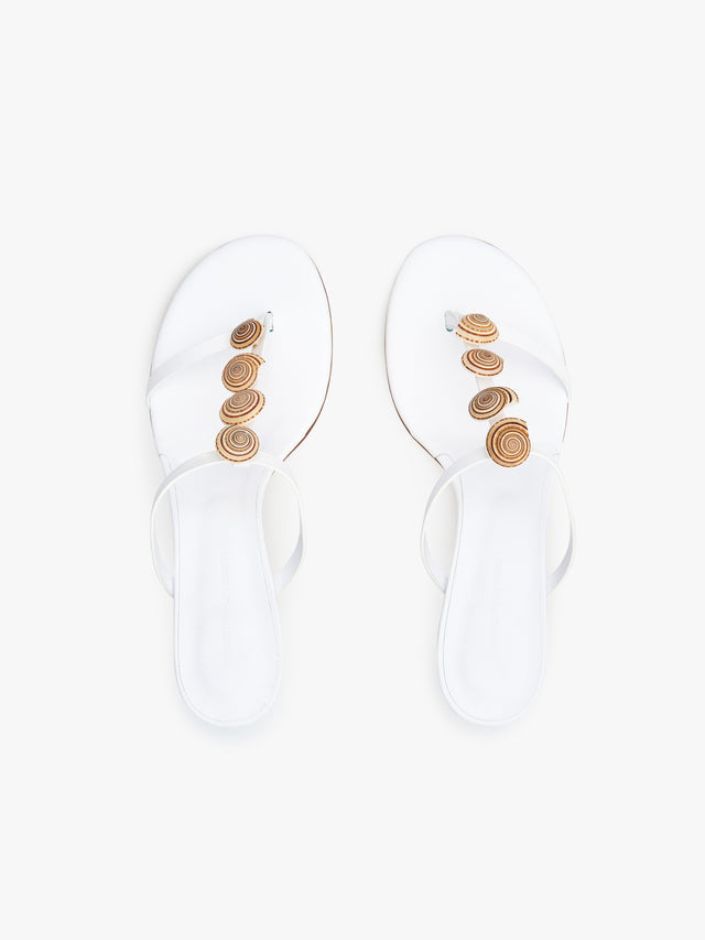Sundial Seashell Kitten Heel