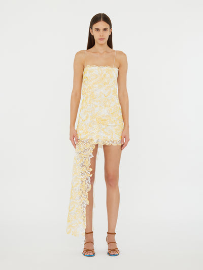 Floating Lace Cami Mini Dress