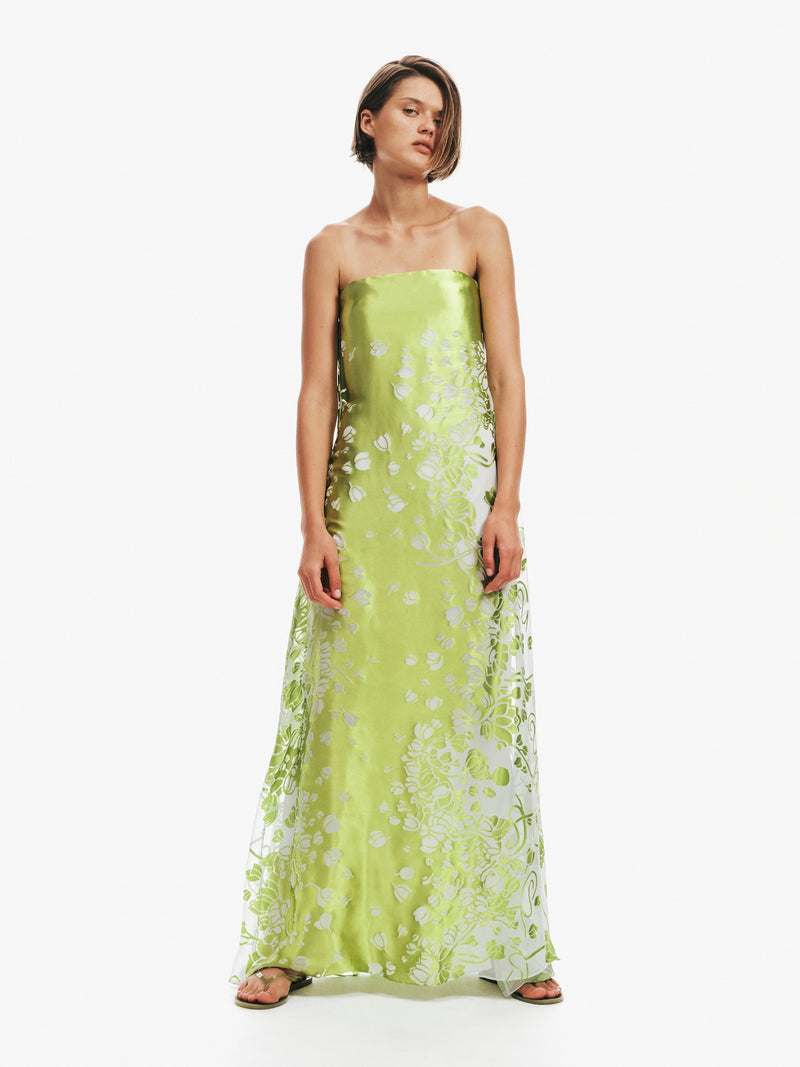 Burnout Strapless Dress - Image 1